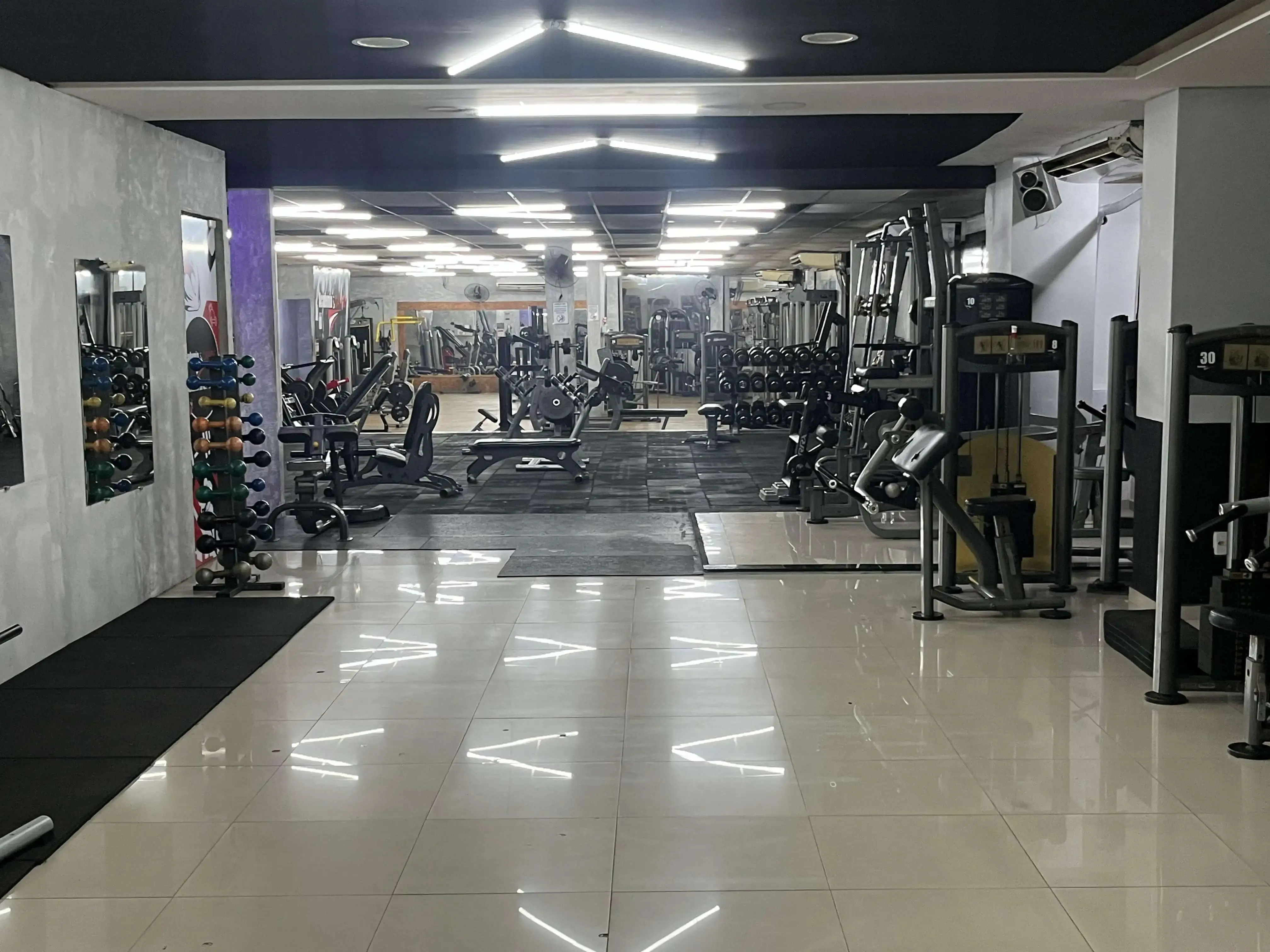 Estrutura da Academia & Caribe