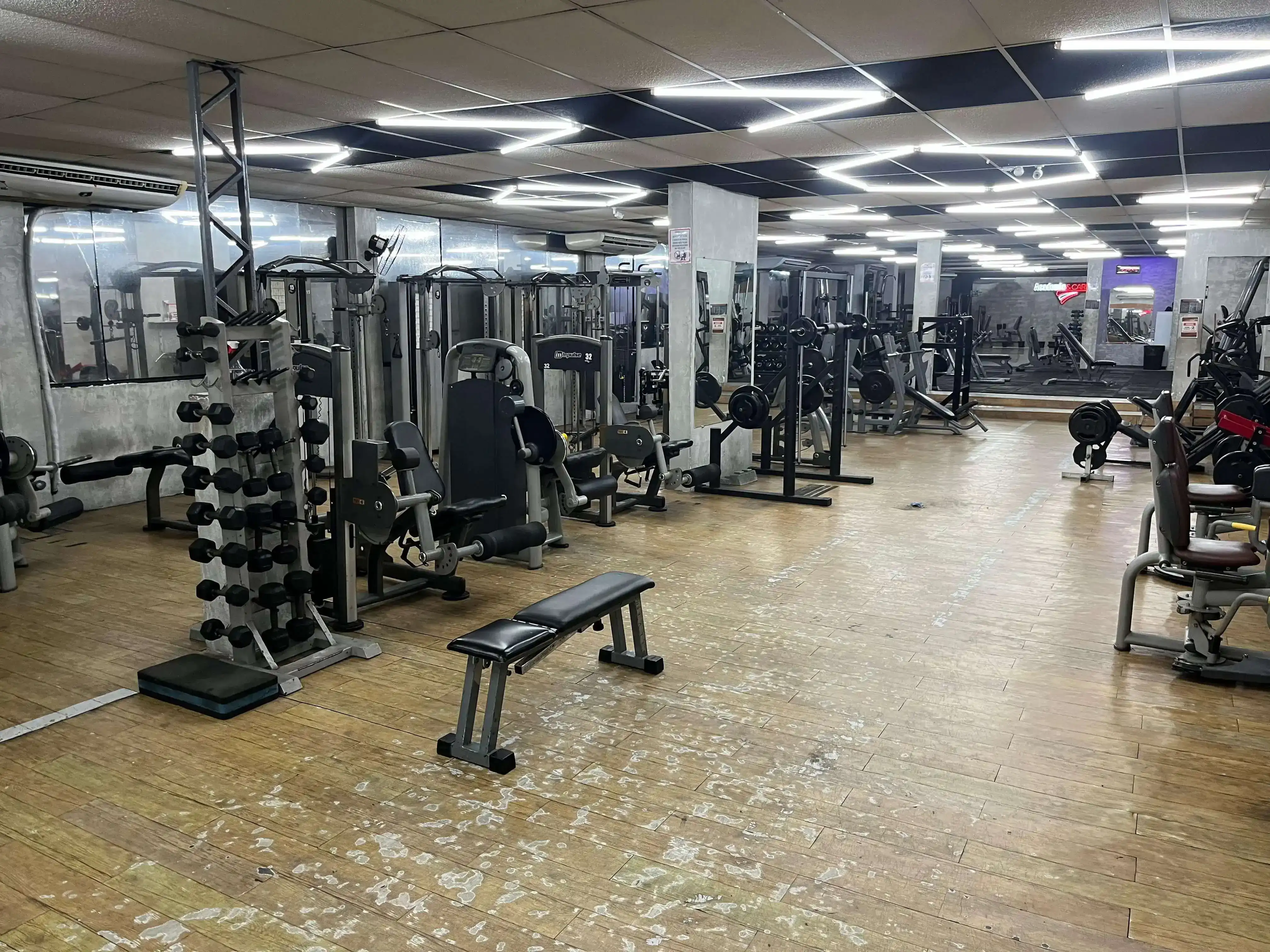 Estrutura da Academia & Caribe