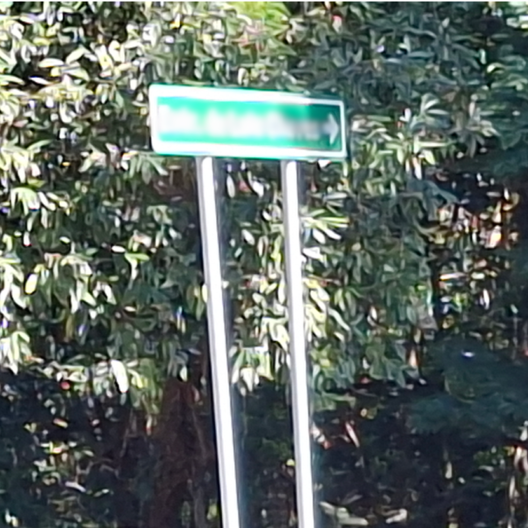 A imagem mostra uma placa que fotografei durante a caminhada, borrei o nome para não saberem o local exato