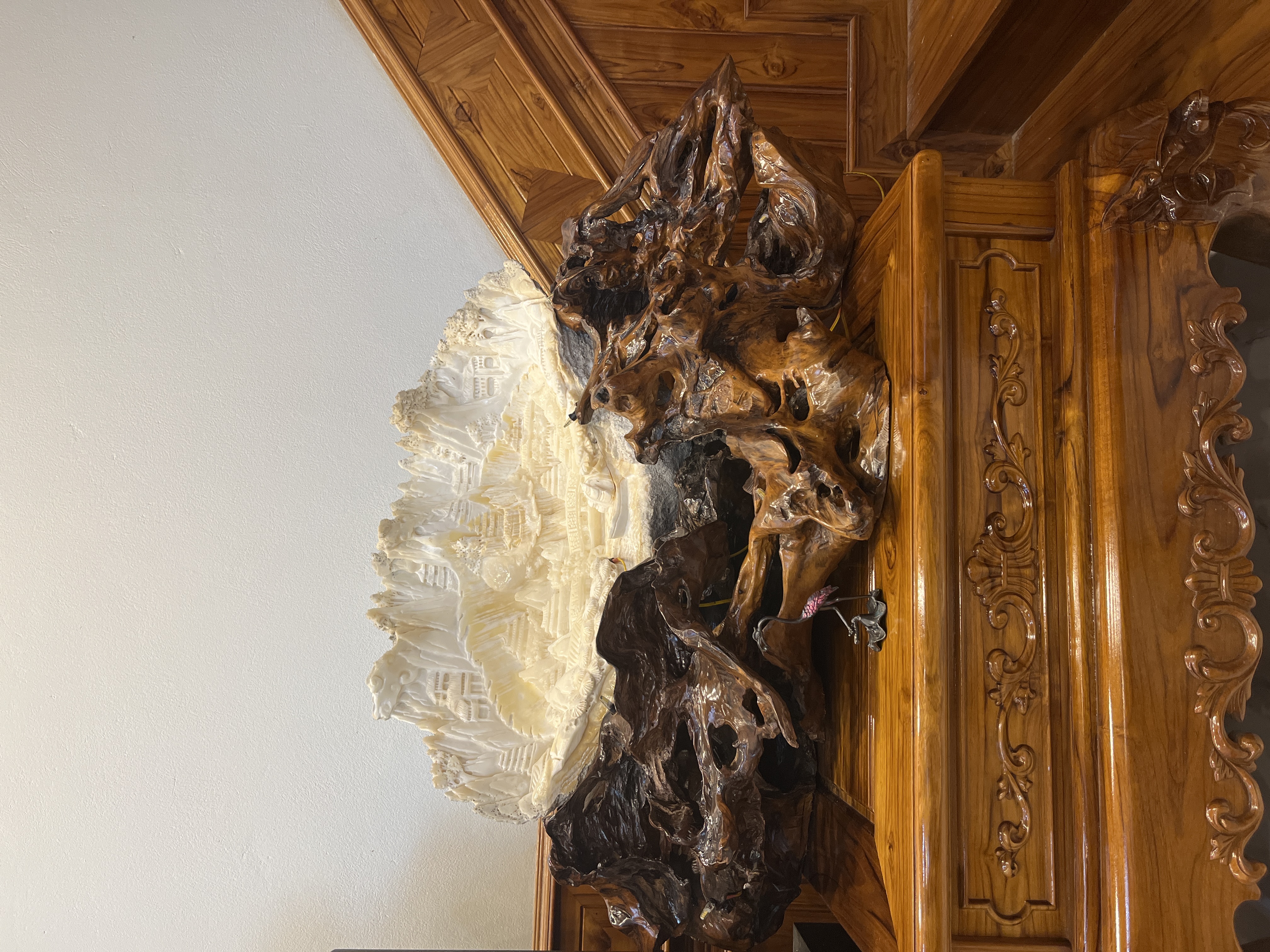 Vỏ sò