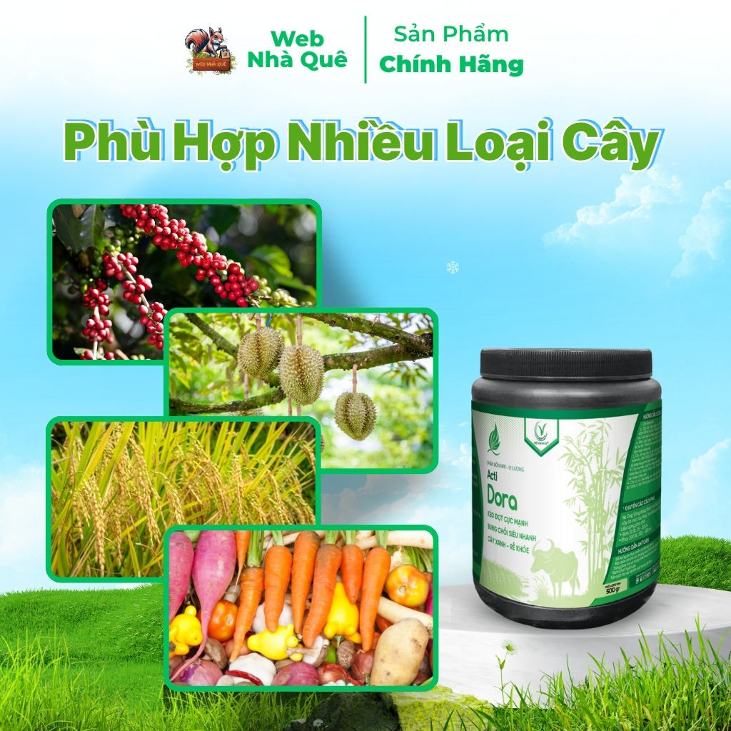 Phân Bón Acti Dora Siêu Kéo Đọt