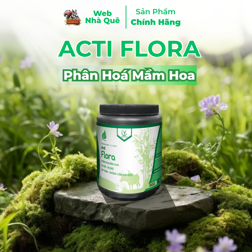 Phân Bón Lá Acti Flora Thúc Đẩy Phân Hoá Mầm Hoa 2