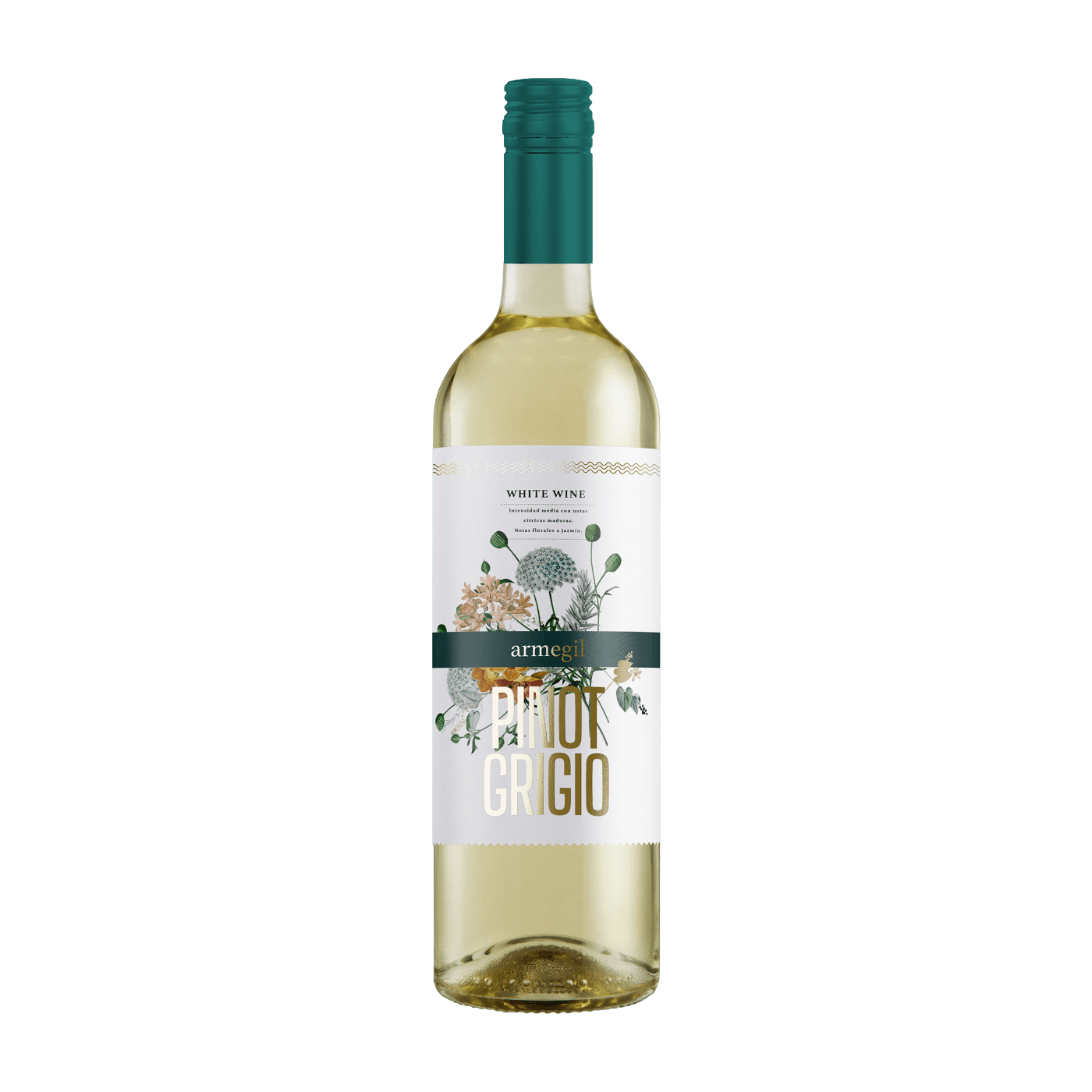 Armegil Pinot Grigio 2025 - Italiensk hvidvin - AndrupVin