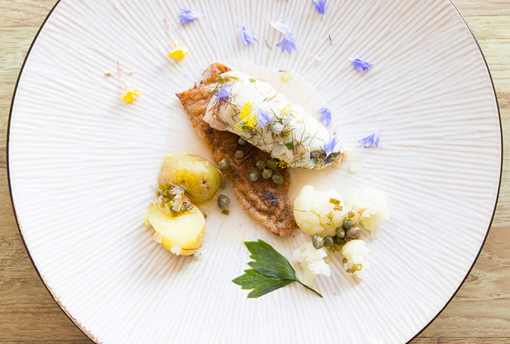 Dampet rødspætte i hvidvin anrettet på tallerken Dampet rødspætte i hvidvin anrettet på tallerken