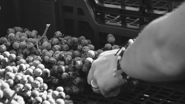 Corte Canella Recioto della Valpolicella 2013 - Super skøn dessertvin