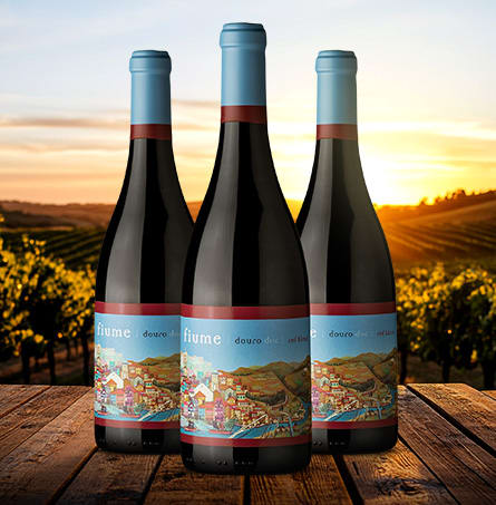 Køb Fiume Douro DOC Red Blend – Sensommerens rødvinskup hos AndrupVin Fiume Douro DOC Red Blend – Sensommerens rødvinskup hos AndrupVin