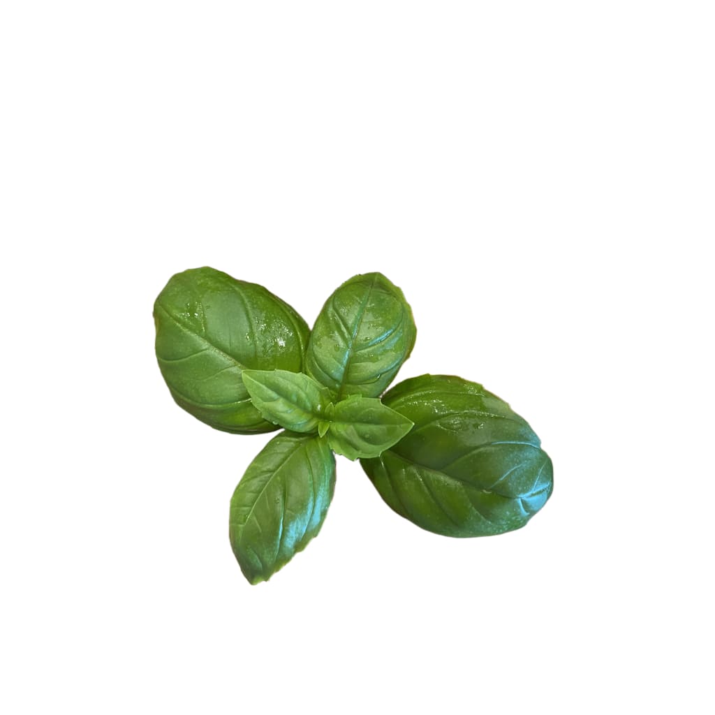 Sharefood\u0020Anretning\u0020L\u00F8rdag\u0020d.\u002017\u002F8\u00202024