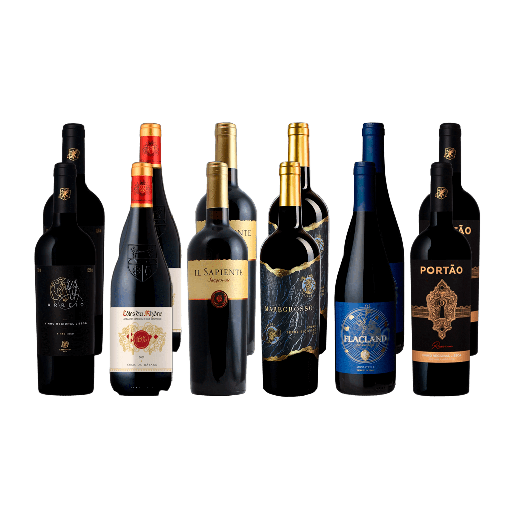 Amazing\u0020Discoveries\u0020Oktober\u00202025