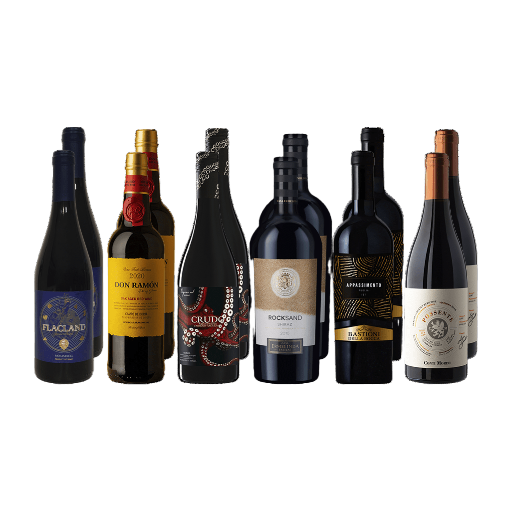 Amazing\u0020Discoveries\u0020April\u00202023