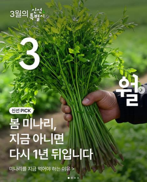 여러분의 최애 미나리 꿀조합 레시피는? 이벤트!!