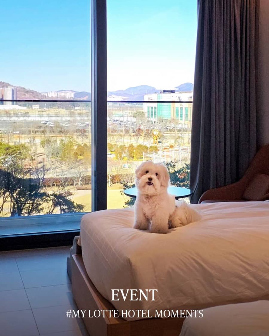 롯데호텔앤리조트 2행시 짓기 경품이벤트!!