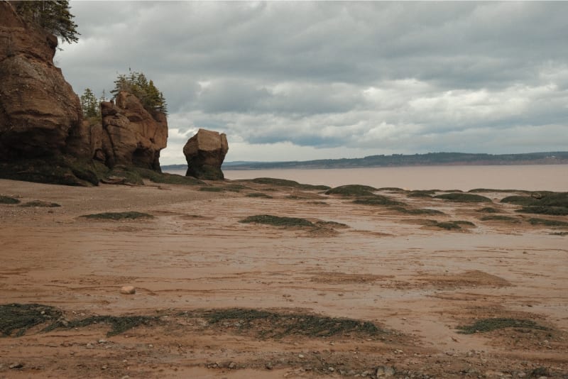 68520c9c92a321e6a7eb43d9_nk2bro