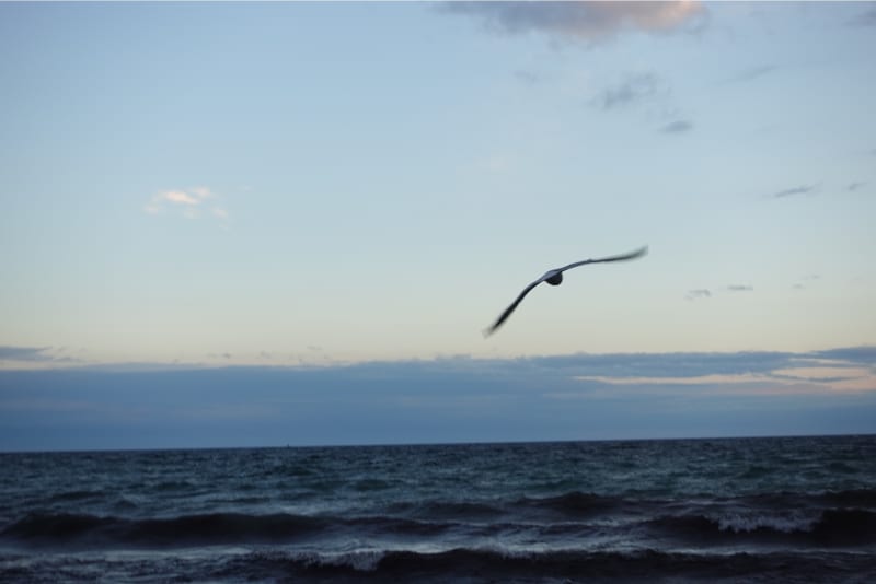 68520de392a321e6a7eb43df_fcszp8