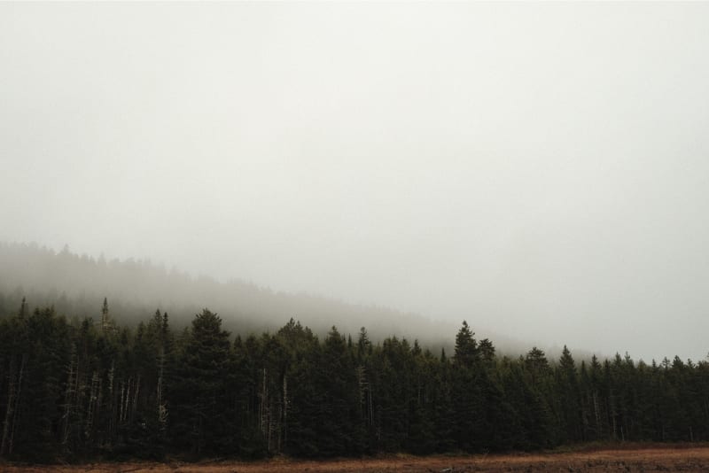 68520ebc92a321e6a7eb43e1_amtgnd