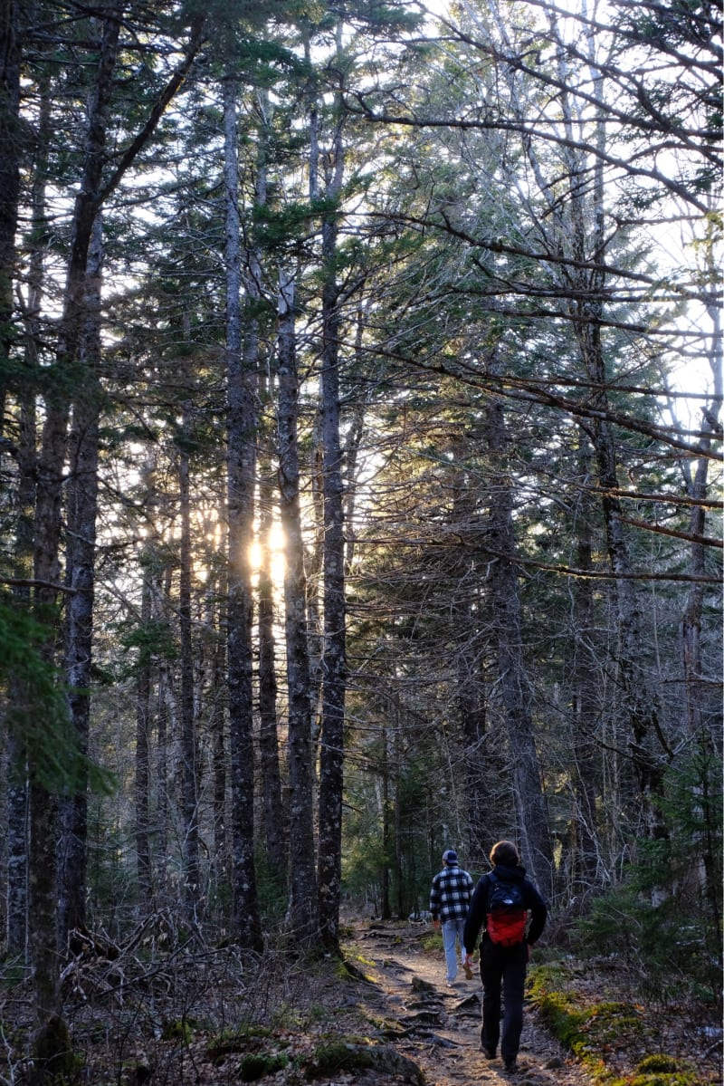 68520f1092a321e6a7eb43e3_qsknrl