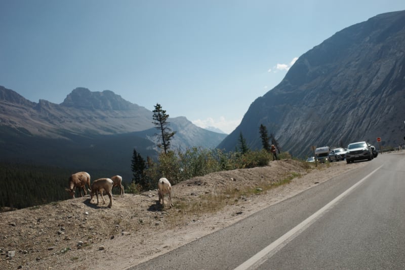 68d4c3018f5d427142774f35_gzxwo9