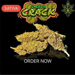 ganja medis green crack