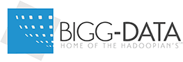 Bigg Data