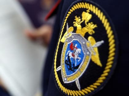 Следком РФ расследует дело по факту госпитализации детей из лагеря Крыма