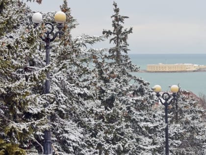 Погода на 30 января: в Крыму и Севастополе прогнозируется дождь со снегом