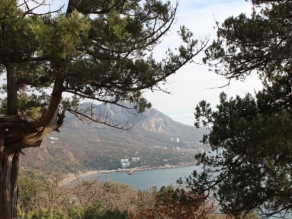 Погода на 25 января 2023 года в Крыму и Севастополе: воздух прогреется до плюс 9 градусов