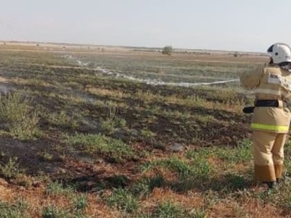 Около 140 ландшафтных пожаров зафиксировали крымские спецслужбы в сентябре