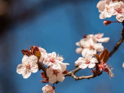 Тепло и ветрено: прогноз погоды для Крыма на вторник