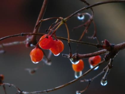 В Крыму на три дня объявлено штормовое предупреждение из-за снега и дождя