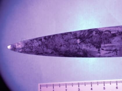 Житель Севастополя признан виновным в убийстве товарища, совершенном в 2019 году