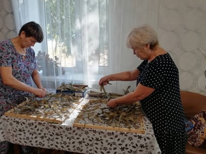 Добровольцы помогают защитникам: невероятные достижения центра «Масксети ZOV Донское»