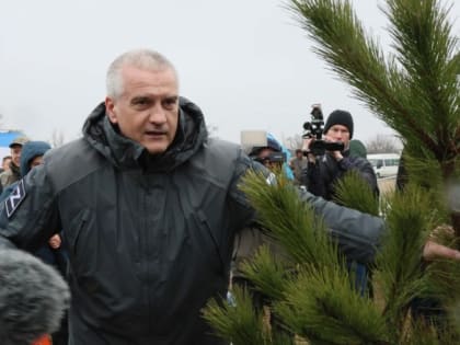 В Крыму высадили деревья в рамках акции «Сад памяти»