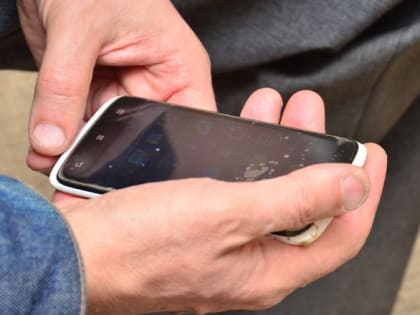 Количество обманутых - за сотню