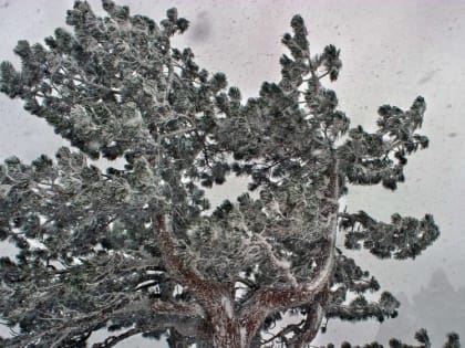 Какой будет погода в Крыму в среду