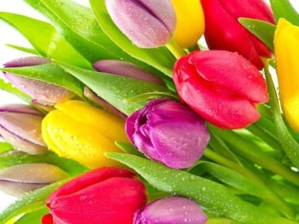 Поздравление Министра чрезвычайных ситуаций Сергея Садаклиева с Международным женским днём