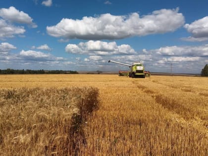 В Мордовии приступили к уборке зерновых культур
