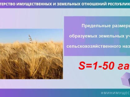 Минимальный размер образуемых земельных участков сельскохозяйственного назначения составляет 1 га