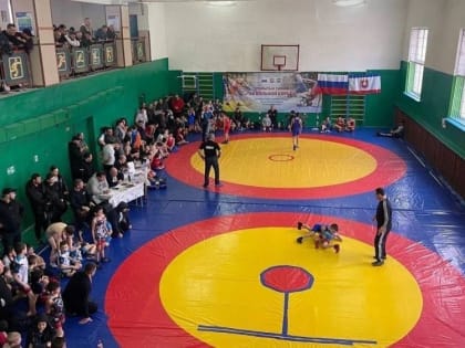 В Детско-юношеской спортивной школе Белогорского района прошел турнир по вольной борьбе среди юношей 2004-2015 года рождения