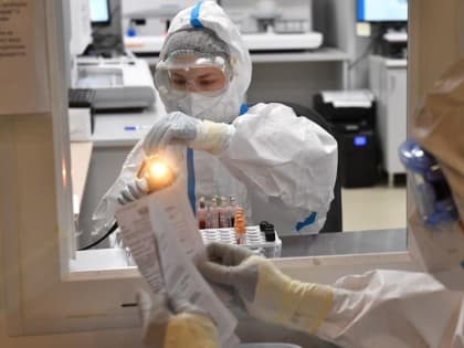 В Крыму за сутки выявили 26 новых случаев COVID-19