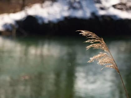 Крым в снегу: сколько воды получит Крым и есть ли угроза подтоплений
