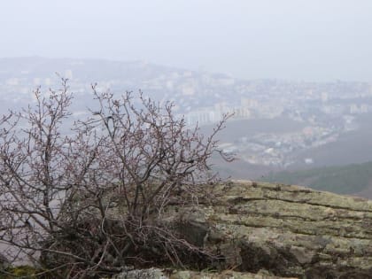 Погода на 19 марта 2023 года в Крыму и Севастополе: воздух прогреется до плюс 12 градусов