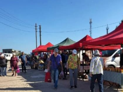 В Крыму созрел первый урожай дынь