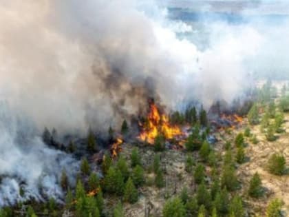 В Крыму ожидается высокая пожарная опасность до 25 октября