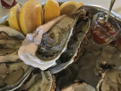 Прокуратура через суд добилась закрытия мидийно-устричной фермы в Кацивели