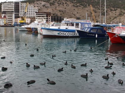 Погода на 7 января 2023 года в Крыму и Севастополе: воздух прогреется до плюс 4 градусов