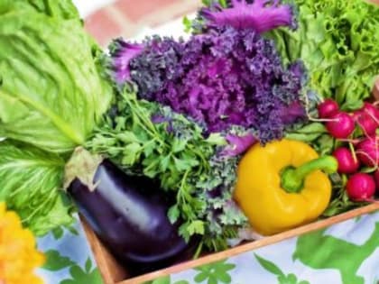 В Крыму подорожали лук, капуста и мясо птицы