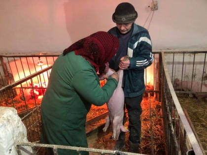 На севере Крыма начали прививать животных