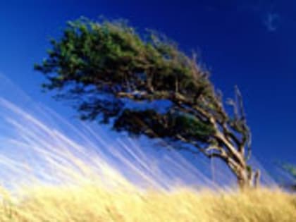 В ВОСКРЕСЕНЬЕ В САКАХ ДО 22 ГРАДУСОВ ТЕПЛА, ВЕТРЕНО