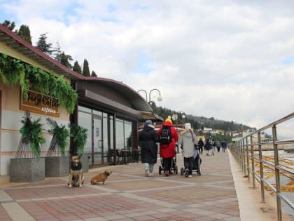 Погода на 6 марта 2023 года в Крыму и Севастополе: воздух прогреется до плюс 11 градусов