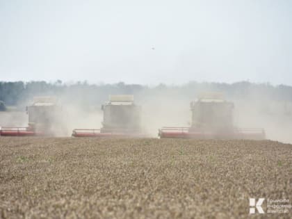 Крым почти полностью перешел на семена отечественной селекции
