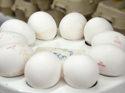 Чем своих кормить, продают за доллары